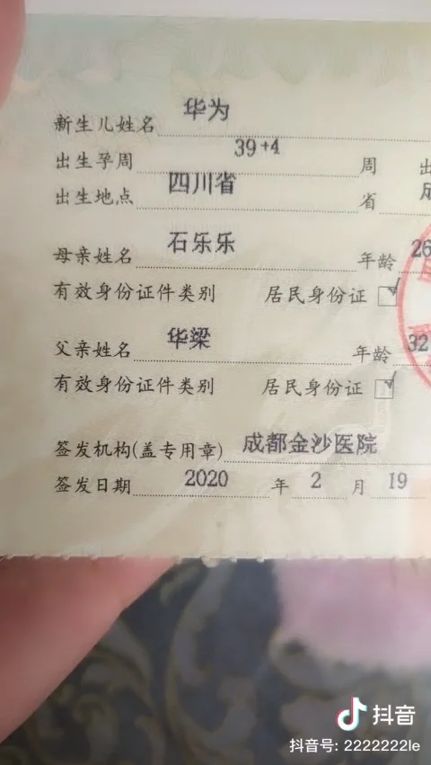 囧科技：华为，为娘实在想不出更威武霸气的名字了