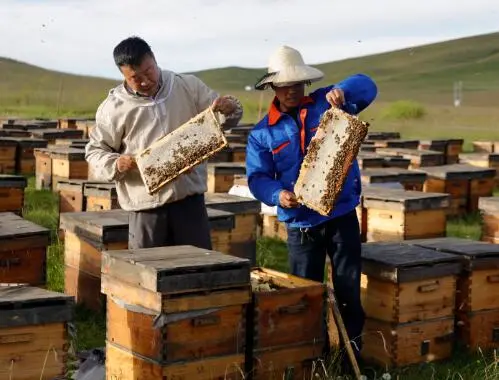 蜂蜜储存方法及年限，蜂蜜应该怎样保存？(图3)