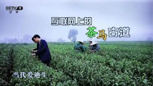 互联网+茶共享共赢艺福堂茶业城市创业合伙人项目正式启动插图3