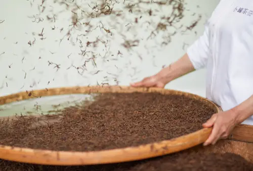 海内外“双金”加身！小罐茶·金骏眉红茶荣获“中茶杯”金奖  第6张