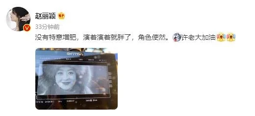 赵丽颖否定为脚色增肥:演着演着就胖了