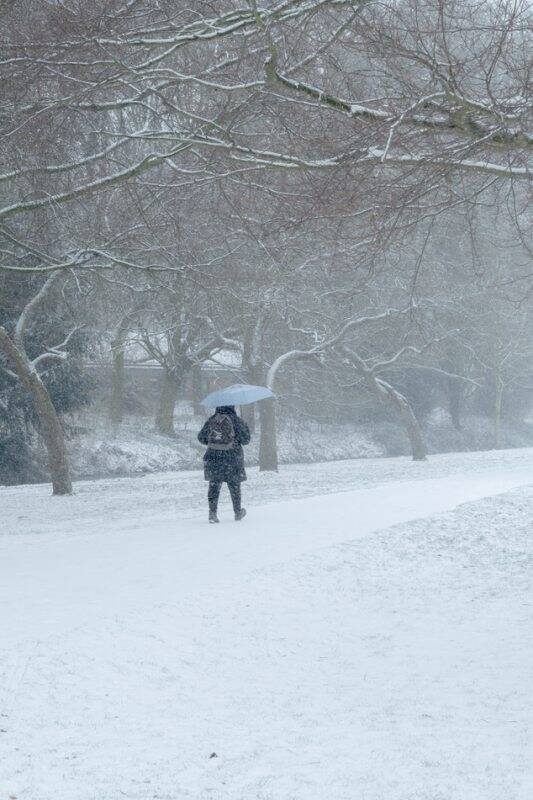 雪景图,腊月时节雪纷纷,路上行人急匆匆