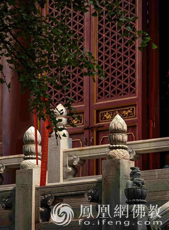 "云赏"武汉宝通禅寺.(图片来源:凤凰网佛教 摄影:程维)