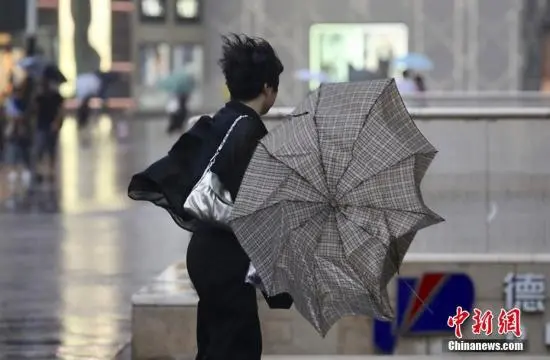 资料图：民众在大风天气中出行。 泱波 摄