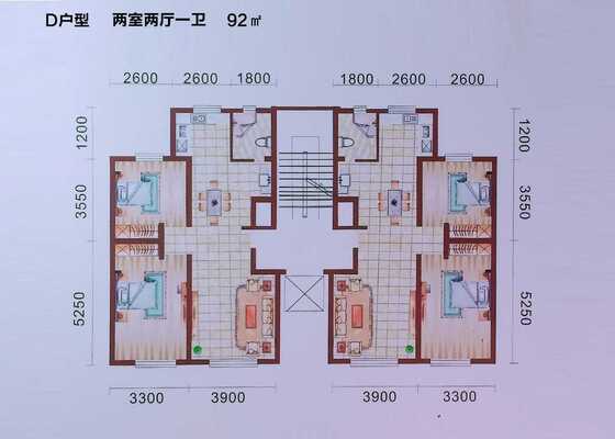 D户型：两室两厅一卫
