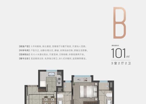 弘阳尚上悦苑101㎡B户型