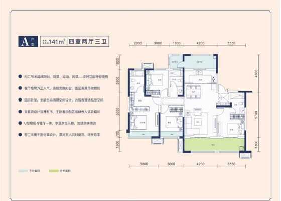 A户型