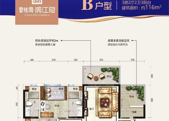 B户型