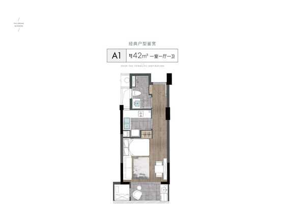 42m²A1户型