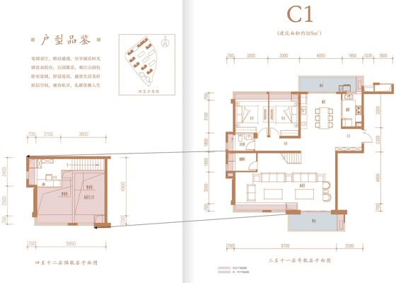 C1户型