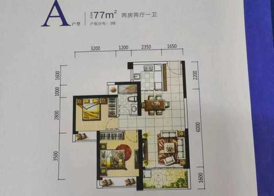 A户型