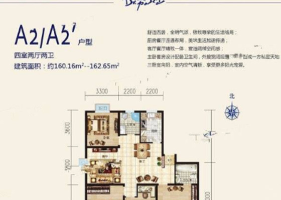 A2/A2'