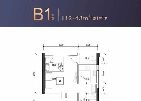 B1户型