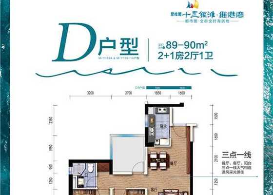 D户型89平2+1房