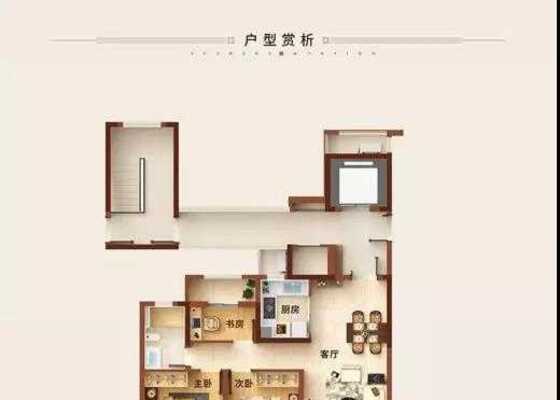 D户型