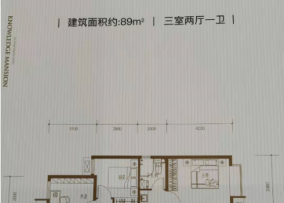 D1户型