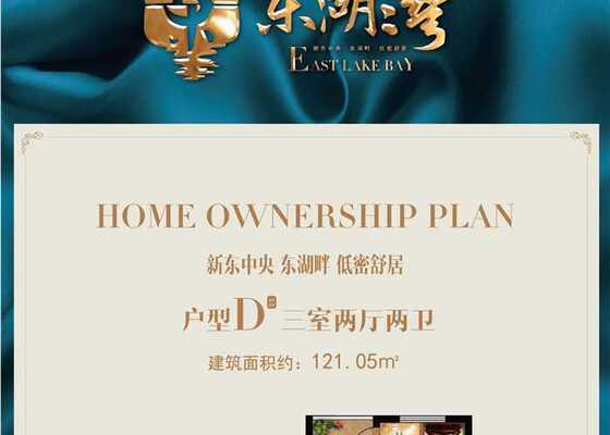 D户型