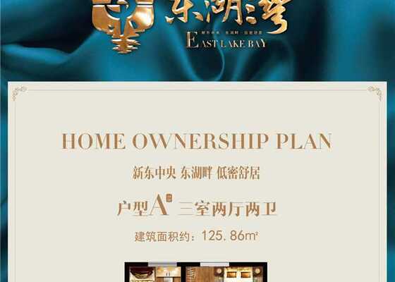 A户型