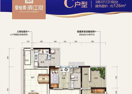 C户型