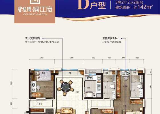 D户型
