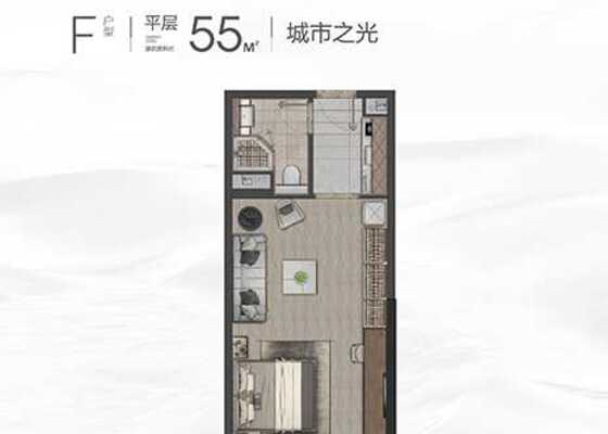 55m²F户型