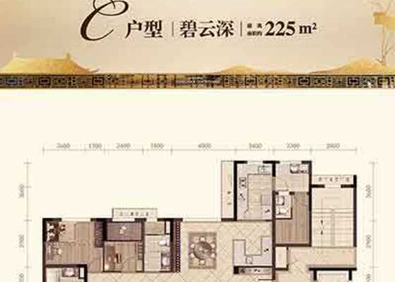 碧桂园城投·西江月C户型225㎡