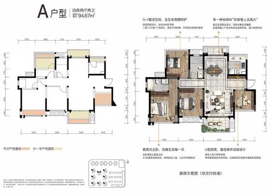 A户型