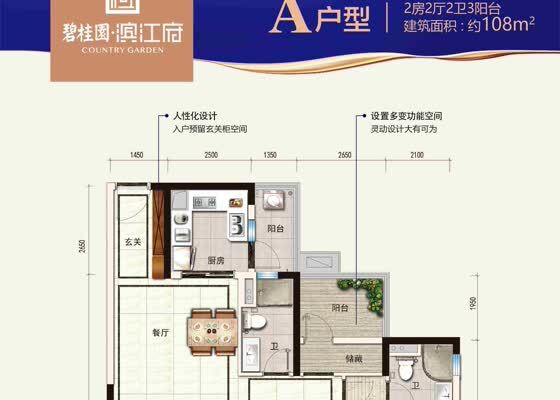 A户型
