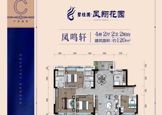 凤鸣轩D户型