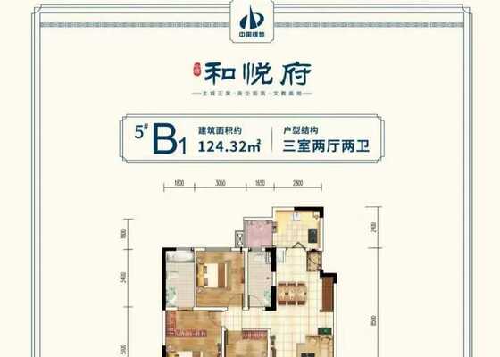 5#B1户型