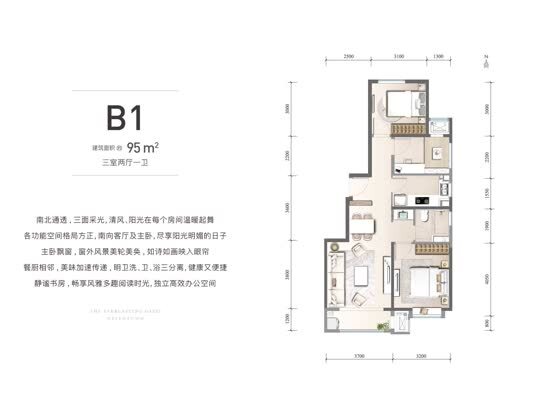 B1户型