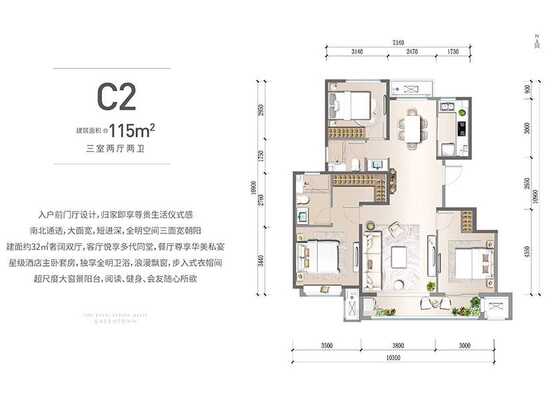 C2户型