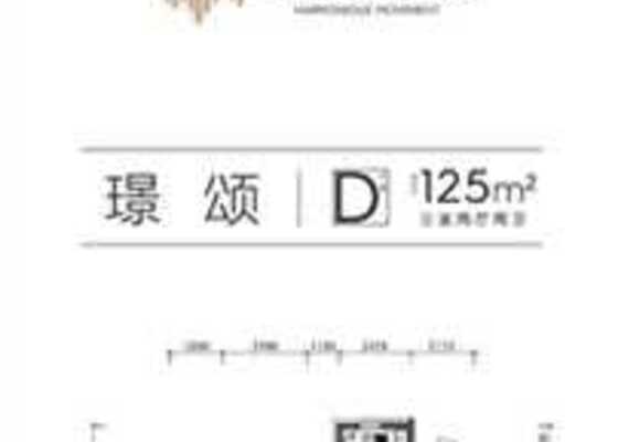 D户型125