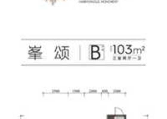 B户型103