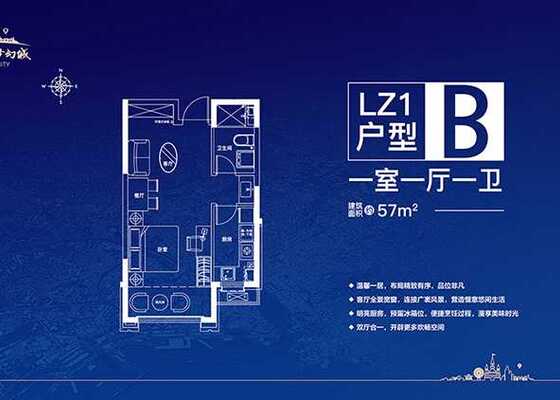 LZ1B户型：一室一厅一卫