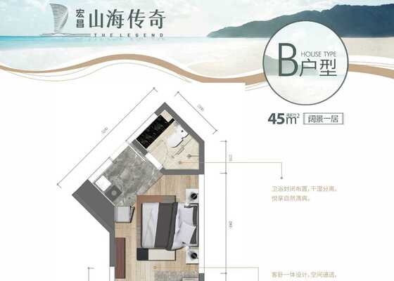 B户型
