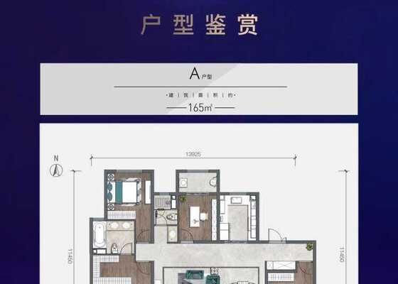 A户型