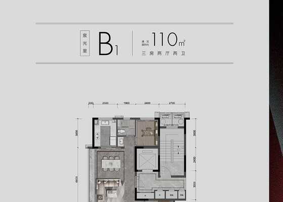 建筑面积110㎡B1户型