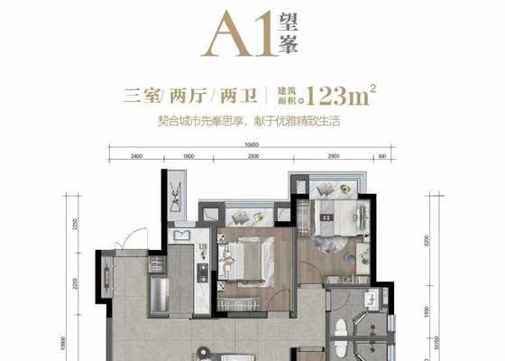 A1户型