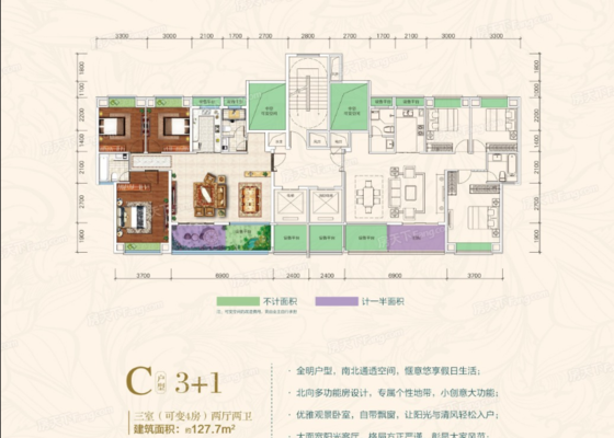 C户型