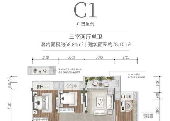 C1户型