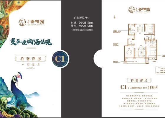 C1户型