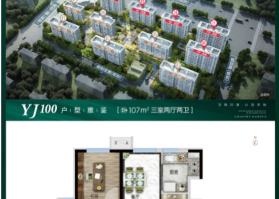 瑶月