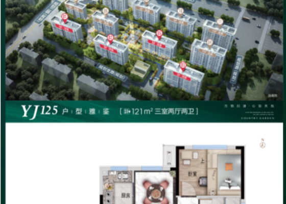 雅珺