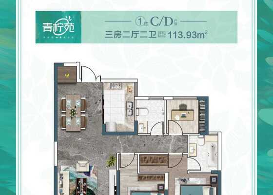 1#C/D户型