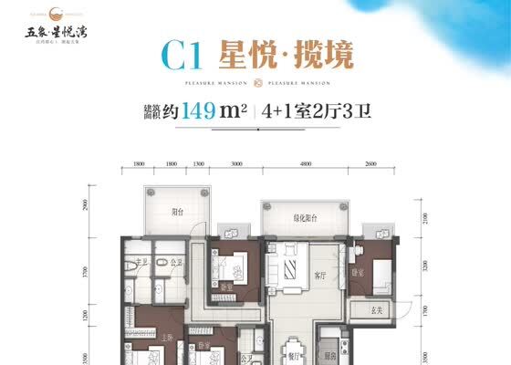 C1户型