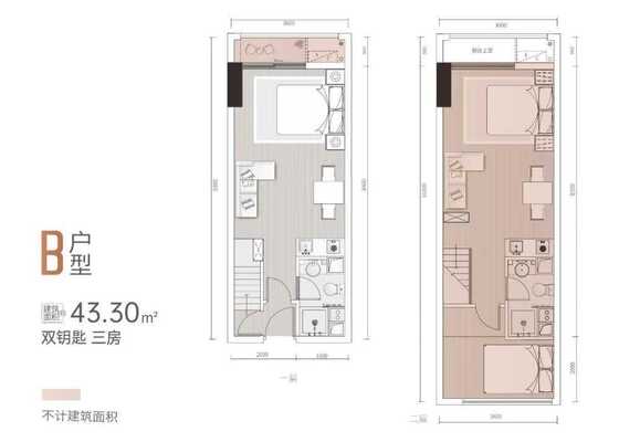 B户型