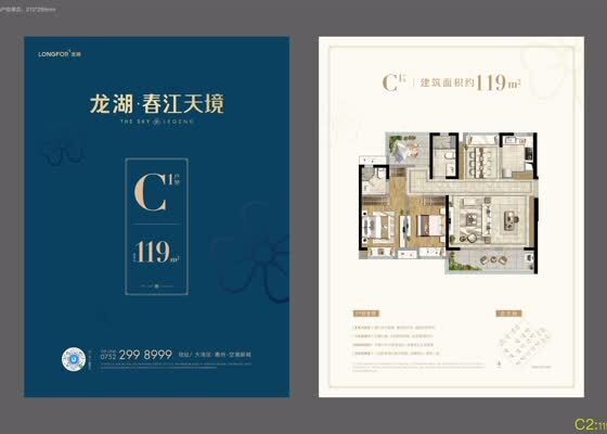 C1