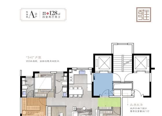 标准层A边户