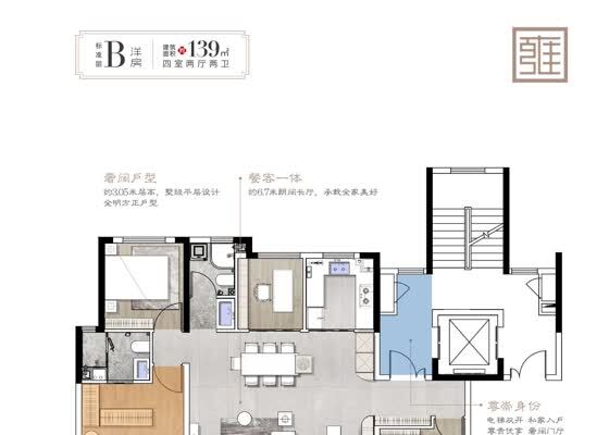标准层B洋房